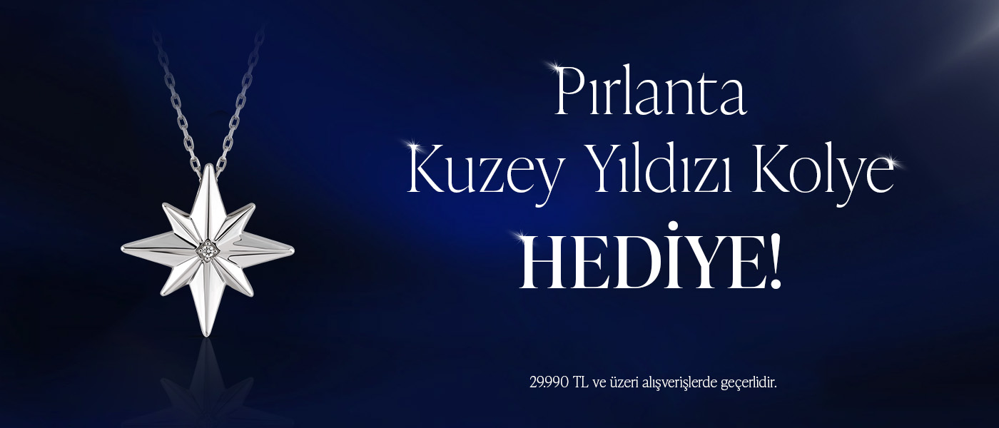 Pırlanta Kuzey Yıldızı Kolye hediye